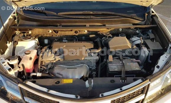 Buy Import Toyota RAV4 White Car in Import - Dubai in Barbados Buy Import Toyota RAV4 White Car in Import - Dubai in Barbados