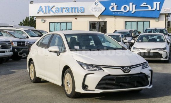 Buy Import Toyota Corolla White Car in Import - Dubai in Barbados Buy Import Toyota Corolla White Car in Import - Dubai in Barbados