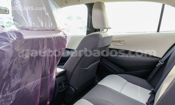 Buy Import Toyota Corolla White Car in Import - Dubai in Barbados Buy Import Toyota Corolla White Car in Import - Dubai in Barbados