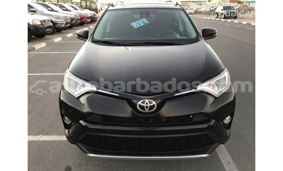 Buy Import Toyota RAV4 Black Car in Import - Dubai in Barbados Buy Import Toyota RAV4 Black Car in Import - Dubai in Barbados