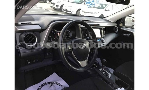Buy Import Toyota RAV4 Black Car in Import - Dubai in Barbados Buy Import Toyota RAV4 Black Car in Import - Dubai in Barbados