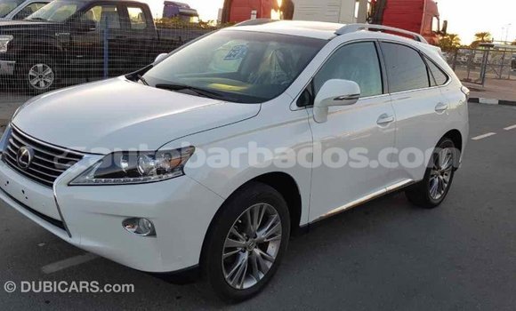 Buy Import Lexus RX 350 White Car in Import - Dubai in Barbados Buy Import Lexus RX 350 White Car in Import - Dubai in Barbados