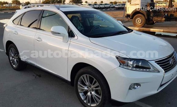 Buy Import Lexus RX 350 White Car in Import - Dubai in Barbados Buy Import Lexus RX 350 White Car in Import - Dubai in Barbados