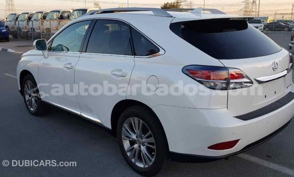 Buy Import Lexus RX 350 White Car in Import - Dubai in Barbados Buy Import Lexus RX 350 White Car in Import - Dubai in Barbados