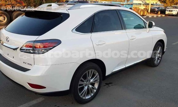 Buy Import Lexus RX 350 White Car in Import - Dubai in Barbados Buy Import Lexus RX 350 White Car in Import - Dubai in Barbados