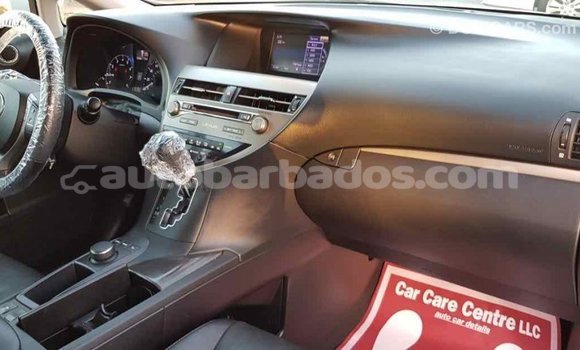 Buy Import Lexus RX 350 White Car in Import - Dubai in Barbados Buy Import Lexus RX 350 White Car in Import - Dubai in Barbados