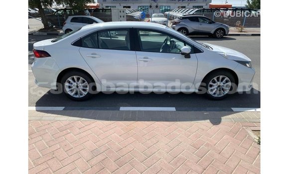 Buy Import Toyota Corolla White Car in Import - Dubai in Barbados Buy Import Toyota Corolla White Car in Import - Dubai in Barbados