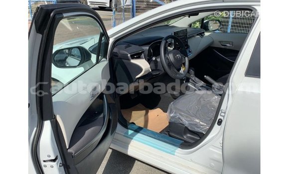 Buy Import Toyota Corolla White Car in Import - Dubai in Barbados Buy Import Toyota Corolla White Car in Import - Dubai in Barbados