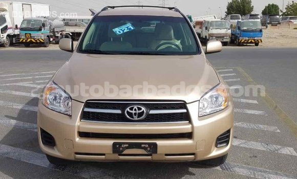 Buy Import Toyota RAV4 Other Car in Import - Dubai in Barbados Buy Import Toyota RAV4 Other Car in Import - Dubai in Barbados