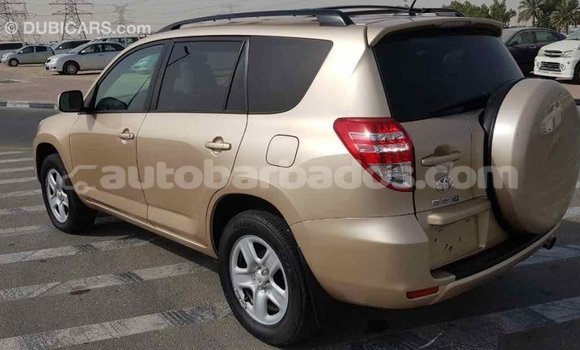 Buy Import Toyota RAV4 Other Car in Import - Dubai in Barbados Buy Import Toyota RAV4 Other Car in Import - Dubai in Barbados