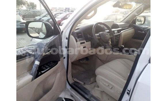 Buy Import Lexus LX White Car in Import - Dubai in Barbados Buy Import Lexus LX White Car in Import - Dubai in Barbados