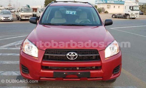 Buy Import Toyota RAV4 Red Car in Import - Dubai in Barbados Buy Import Toyota RAV4 Red Car in Import - Dubai in Barbados