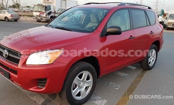 Buy Import Toyota RAV4 Red Car in Import - Dubai in Barbados Buy Import Toyota RAV4 Red Car in Import - Dubai in Barbados