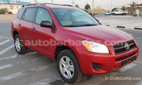 Buy Import Toyota RAV4 Red Car in Import - Dubai in Barbados Buy Import Toyota RAV4 Red Car in Import - Dubai in Barbados