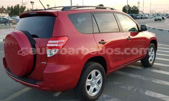 Buy Import Toyota RAV4 Red Car in Import - Dubai in Barbados Buy Import Toyota RAV4 Red Car in Import - Dubai in Barbados