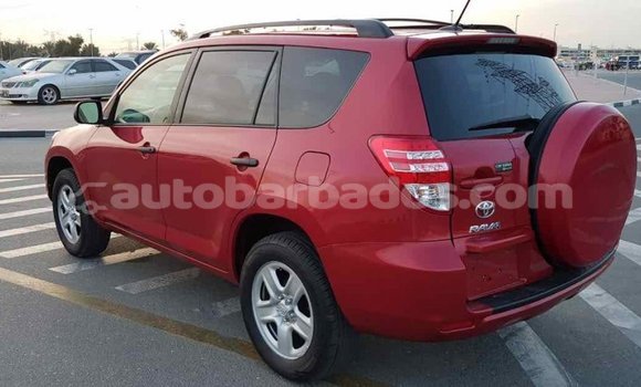 Buy Import Toyota RAV4 Red Car in Import - Dubai in Barbados Buy Import Toyota RAV4 Red Car in Import - Dubai in Barbados