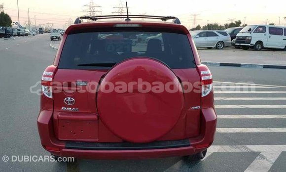 Buy Import Toyota RAV4 Red Car in Import - Dubai in Barbados Buy Import Toyota RAV4 Red Car in Import - Dubai in Barbados