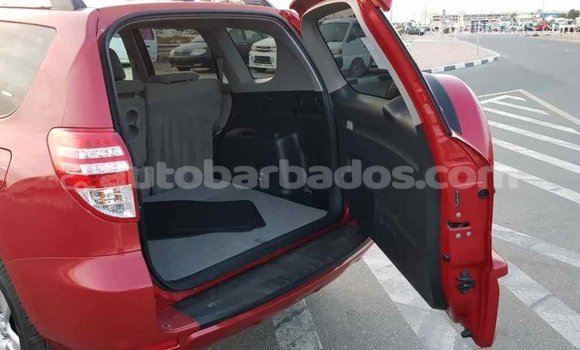Buy Import Toyota RAV4 Red Car in Import - Dubai in Barbados Buy Import Toyota RAV4 Red Car in Import - Dubai in Barbados