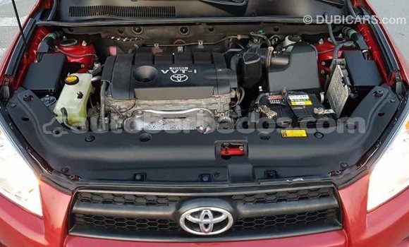 Buy Import Toyota RAV4 Red Car in Import - Dubai in Barbados Buy Import Toyota RAV4 Red Car in Import - Dubai in Barbados