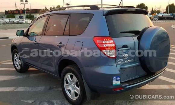 Buy Import Toyota RAV4 Blue Car in Import - Dubai in Barbados Buy Import Toyota RAV4 Blue Car in Import - Dubai in Barbados