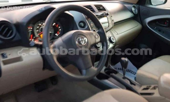 Buy Import Toyota RAV4 Blue Car in Import - Dubai in Barbados Buy Import Toyota RAV4 Blue Car in Import - Dubai in Barbados
