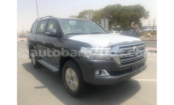 Buy Import Toyota Land Cruiser Other Car in Import - Dubai in Barbados Buy Import Toyota Land Cruiser Other Car in Import - Dubai in Barbados
