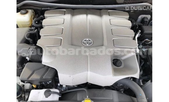 Buy Import Toyota Land Cruiser White Car in Import - Dubai in Barbados Buy Import Toyota Land Cruiser White Car in Import - Dubai in Barbados