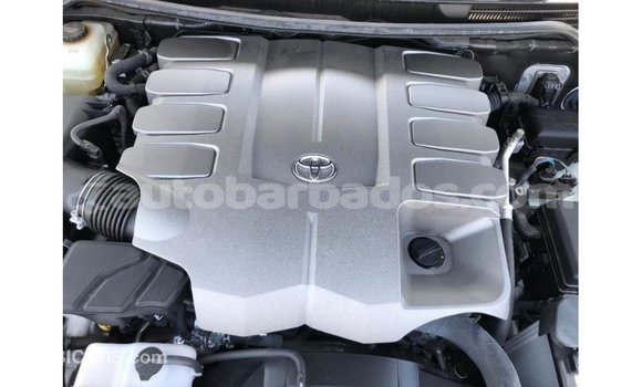 Buy Import Toyota Land Cruiser White Car in Import - Dubai in Barbados Buy Import Toyota Land Cruiser White Car in Import - Dubai in Barbados