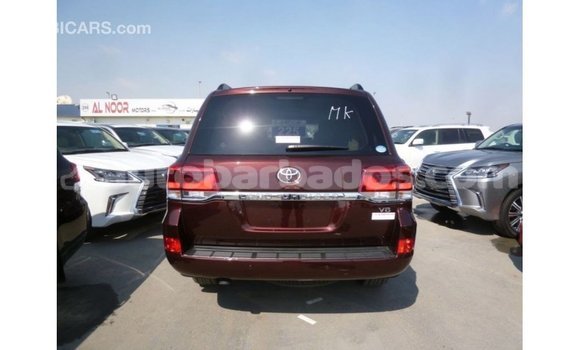 Buy Import Toyota Land Cruiser Brown Car in Import - Dubai in Barbados Buy Import Toyota Land Cruiser Brown Car in Import - Dubai in Barbados
