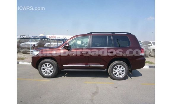 Buy Import Toyota Land Cruiser Brown Car in Import - Dubai in Barbados Buy Import Toyota Land Cruiser Brown Car in Import - Dubai in Barbados