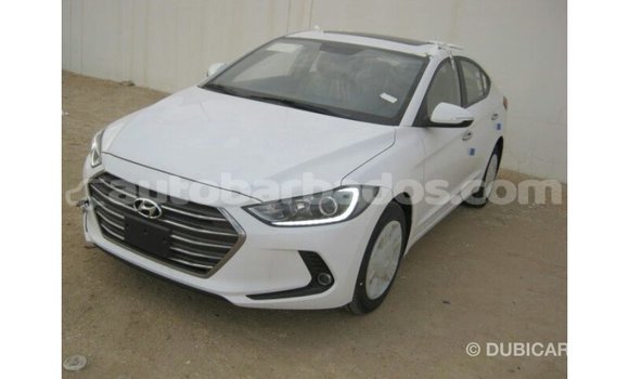 Buy Import Hyundai Elantra White Car in Import - Dubai in Barbados Buy Import Hyundai Elantra White Car in Import - Dubai in Barbados