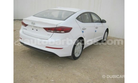 Buy Import Hyundai Elantra White Car in Import - Dubai in Barbados Buy Import Hyundai Elantra White Car in Import - Dubai in Barbados