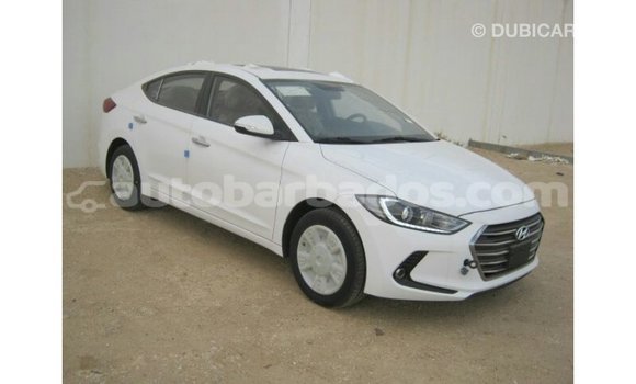 Buy Import Hyundai Elantra White Car in Import - Dubai in Barbados Buy Import Hyundai Elantra White Car in Import - Dubai in Barbados