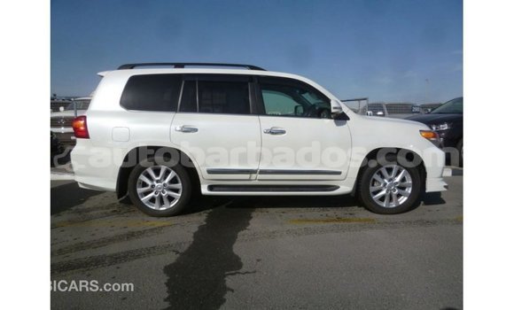 Buy Import Toyota Land Cruiser White Car in Import - Dubai in Barbados Buy Import Toyota Land Cruiser White Car in Import - Dubai in Barbados