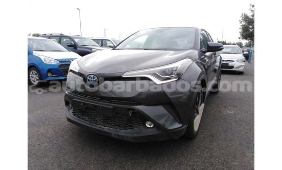 Buy Import Toyota C-HR Other Car in Import - Dubai in Barbados Buy Import Toyota C-HR Other Car in Import - Dubai in Barbados