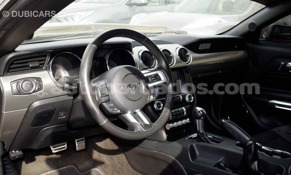 Buy Import Ford Mustang Black Car in Import - Dubai in Barbados Buy Import Ford Mustang Black Car in Import - Dubai in Barbados