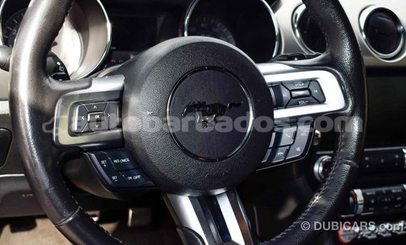 Buy Import Ford Mustang Black Car in Import - Dubai in Barbados Buy Import Ford Mustang Black Car in Import - Dubai in Barbados