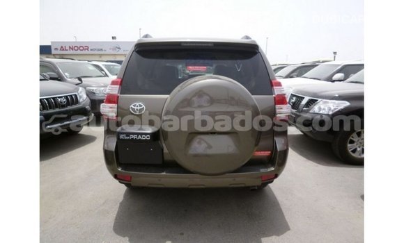 Buy Import Toyota Prado Brown Car in Import - Dubai in Barbados Buy Import Toyota Prado Brown Car in Import - Dubai in Barbados