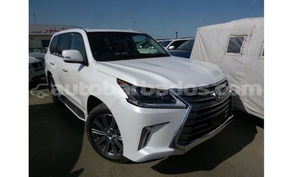 Buy Import Lexus LX White Car in Import - Dubai in Barbados Buy Import Lexus LX White Car in Import - Dubai in Barbados