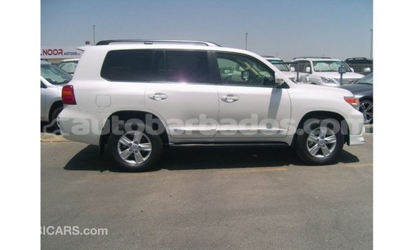 Buy Import Toyota Land Cruiser White Car in Import - Dubai in Barbados Buy Import Toyota Land Cruiser White Car in Import - Dubai in Barbados