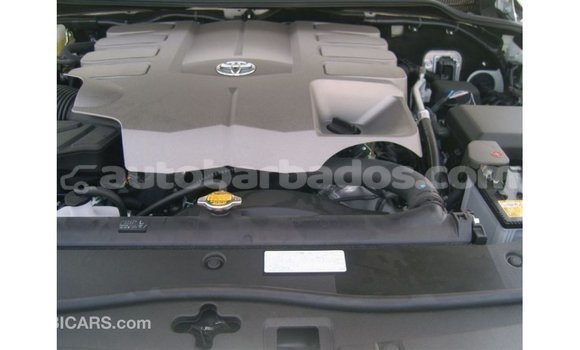 Buy Import Toyota Land Cruiser White Car in Import - Dubai in Barbados Buy Import Toyota Land Cruiser White Car in Import - Dubai in Barbados