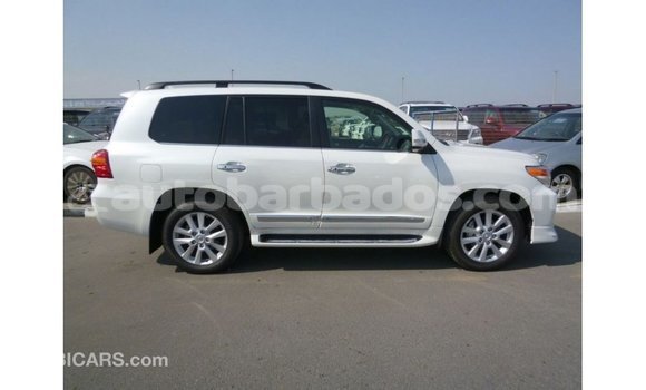 Buy Import Toyota Land Cruiser White Car in Import - Dubai in Barbados Buy Import Toyota Land Cruiser White Car in Import - Dubai in Barbados