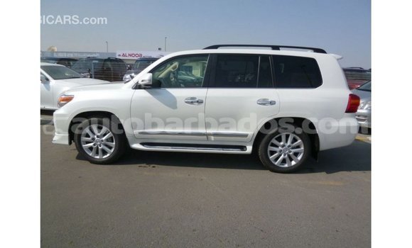 Buy Import Toyota Land Cruiser White Car in Import - Dubai in Barbados Buy Import Toyota Land Cruiser White Car in Import - Dubai in Barbados
