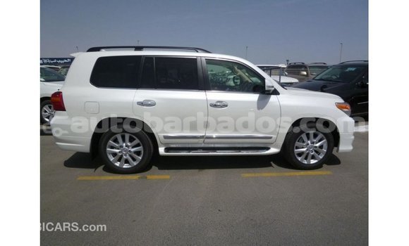 Buy Import Toyota Land Cruiser White Car in Import - Dubai in Barbados Buy Import Toyota Land Cruiser White Car in Import - Dubai in Barbados