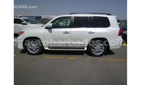 Buy Import Toyota Land Cruiser White Car in Import - Dubai in Barbados Buy Import Toyota Land Cruiser White Car in Import - Dubai in Barbados