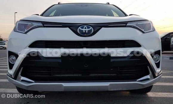 Buy Import Toyota RAV4 White Car in Import - Dubai in Barbados Buy Import Toyota RAV4 White Car in Import - Dubai in Barbados