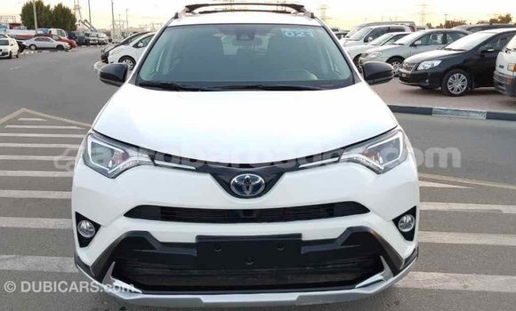 Buy Import Toyota RAV4 White Car in Import - Dubai in Barbados Buy Import Toyota RAV4 White Car in Import - Dubai in Barbados