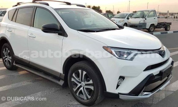 Buy Import Toyota RAV4 White Car in Import - Dubai in Barbados Buy Import Toyota RAV4 White Car in Import - Dubai in Barbados
