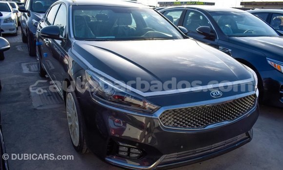 Buy Import Kia Cadenza Other Car in Import - Dubai in Barbados Buy Import Kia Cadenza Other Car in Import - Dubai in Barbados
