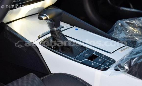 Buy Import Kia Cadenza Other Car in Import - Dubai in Barbados Buy Import Kia Cadenza Other Car in Import - Dubai in Barbados